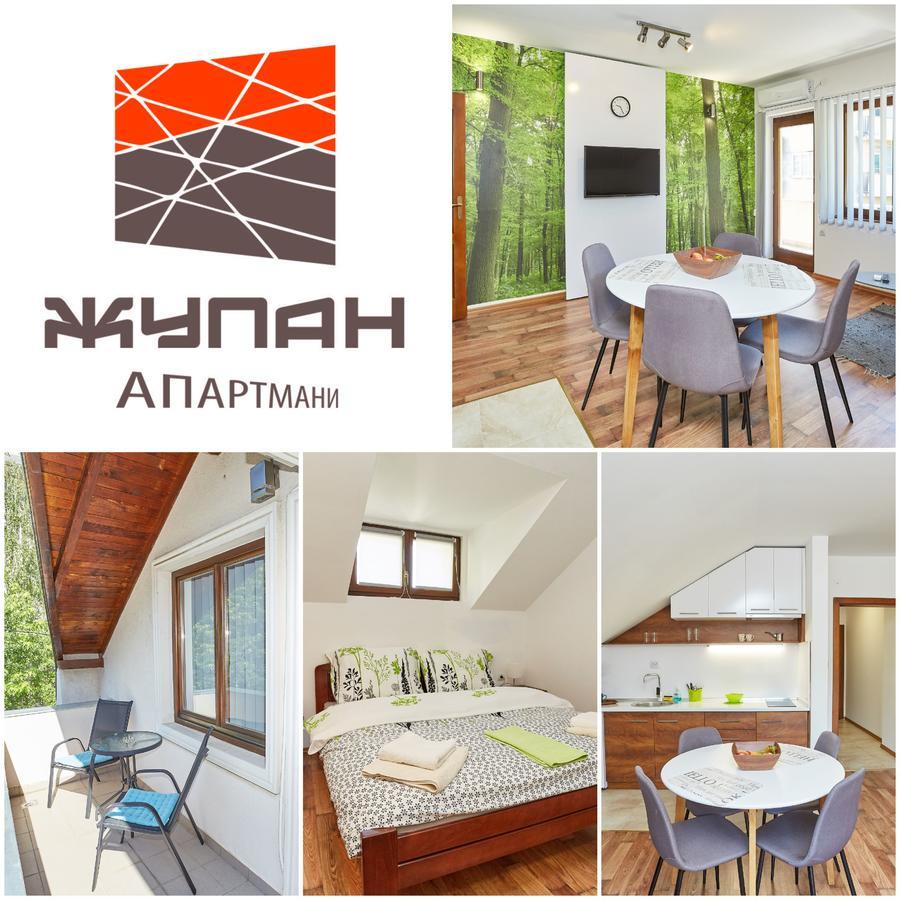 Zupan Apartmani Soko Banja Exterior photo